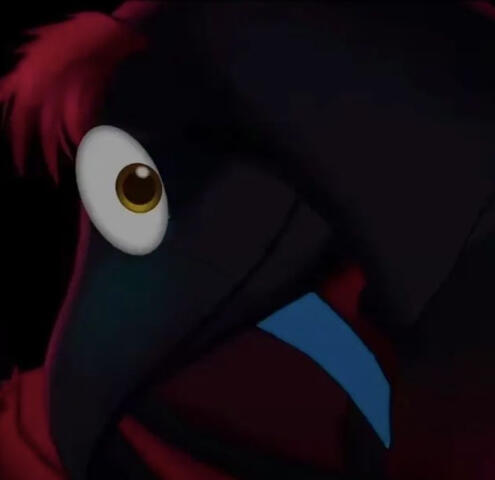 Doctor • TheFreakCircus