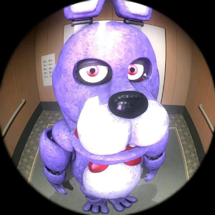 ☒ Bonnie!! (Withered, NM, Glam, Original) •FNAF• 🍼
